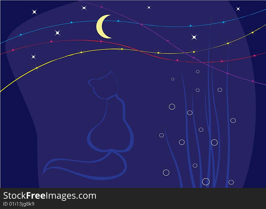 Starry sky cat moon night. Starry sky cat moon night