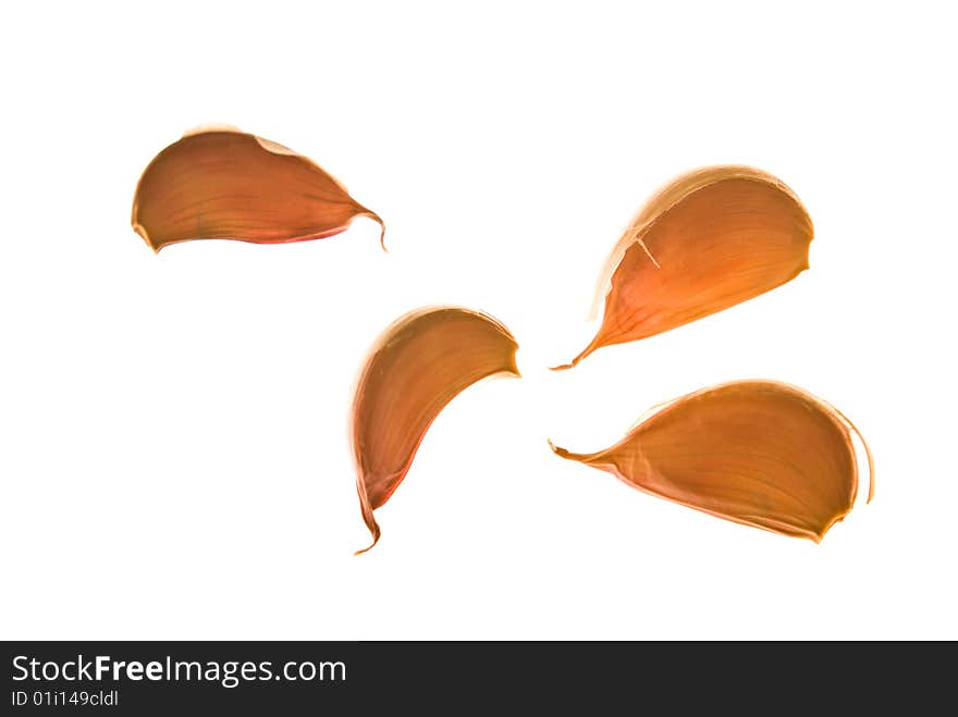 Garlic pieces isolated on white