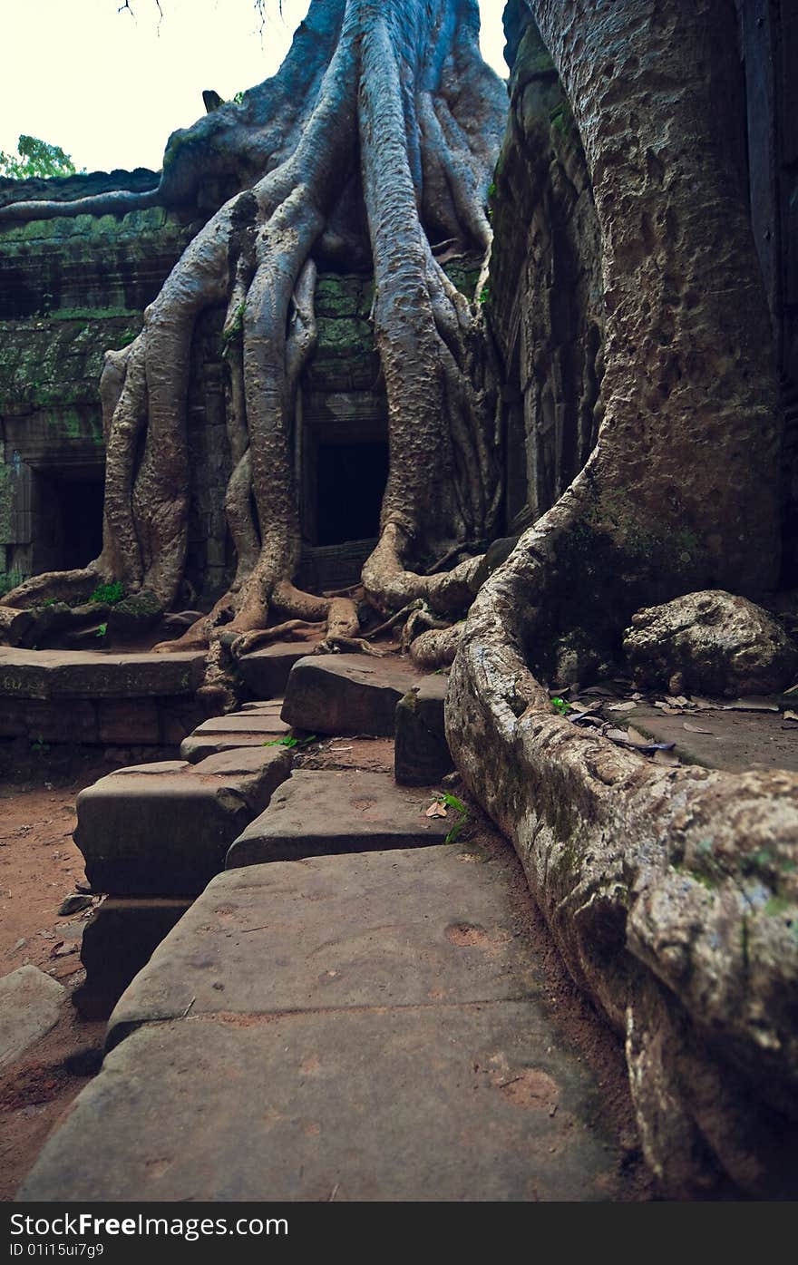 Inside view of  Angkor Wat.

Angkor Wat (or Angkor Vat) is a temple complex at Angkor, Cambodia, built for the king Suryavarman II in the early 12th century as his state temple and capital city. As the best-preserved temple at the site, it is the only one to have remained a significant religious centre since its foundation—first Hindu, dedicated to Vishnu, then Buddhist. The temple is the epitome of the high classical style of Khmer architecture. It has become a symbol of Cambodia, appearing on its national flag, and it is the country's prime attraction for visitors.