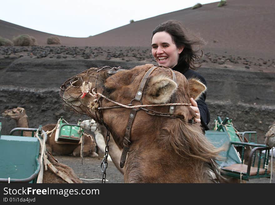 Tourist camel