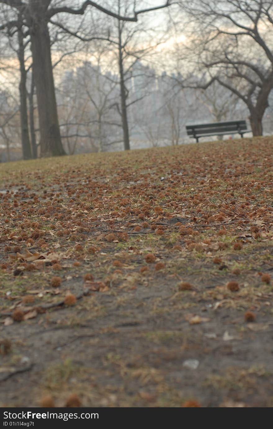 A walk in the park, park bench