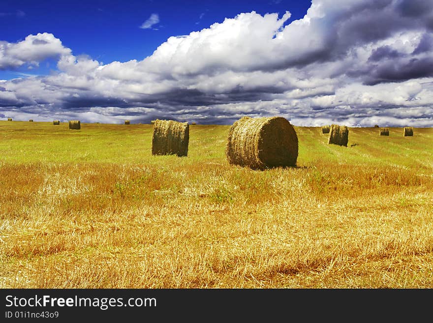 Haystacks on yellow field