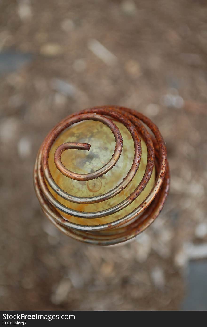 Close-up of a landscaping ball