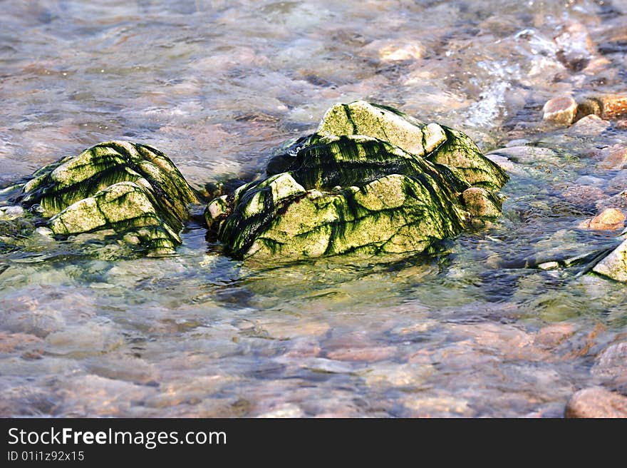 Natural texture of lichen and green algae on a rock. Natural texture of lichen and green algae on a rock.