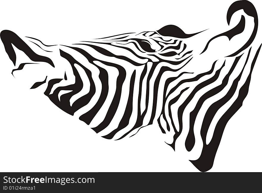 Zebra