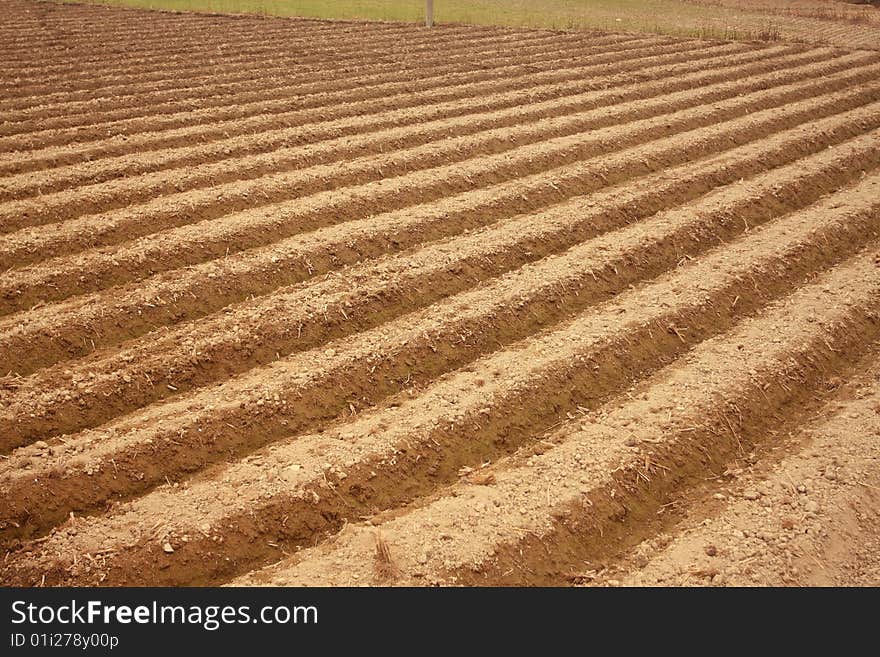 Sementera in spring. farmers working here. Sementera in spring. farmers working here.