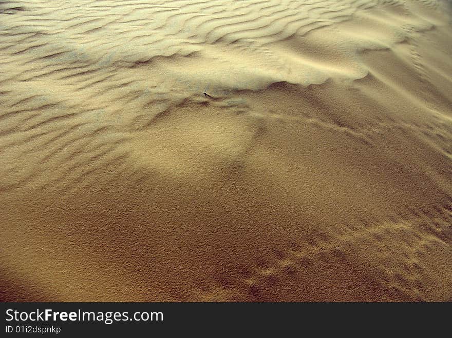 Wind patterns in the sand dunes