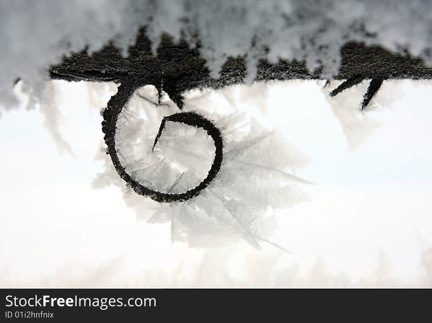 Hoarfrost on a wood bark. Hoarfrost on a wood bark