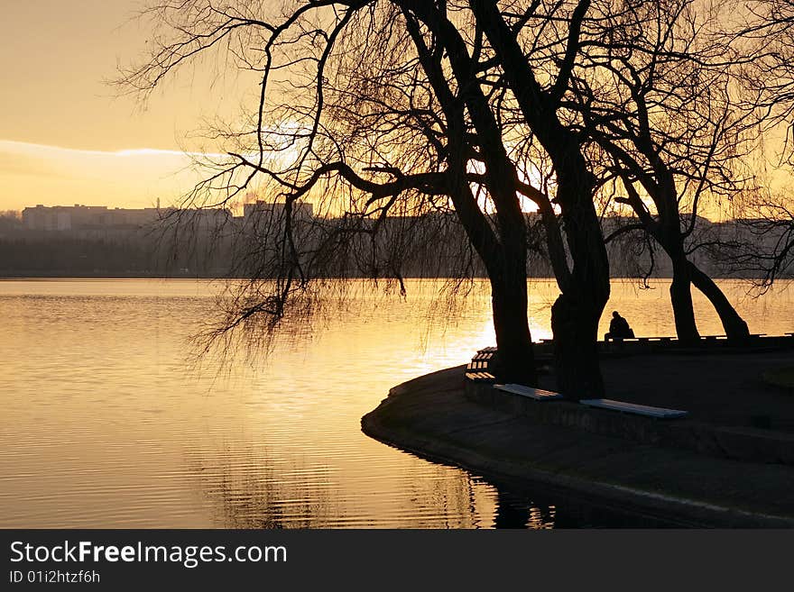 The person has a rest under a tree on the bank of lake. The person has a rest under a tree on the bank of lake