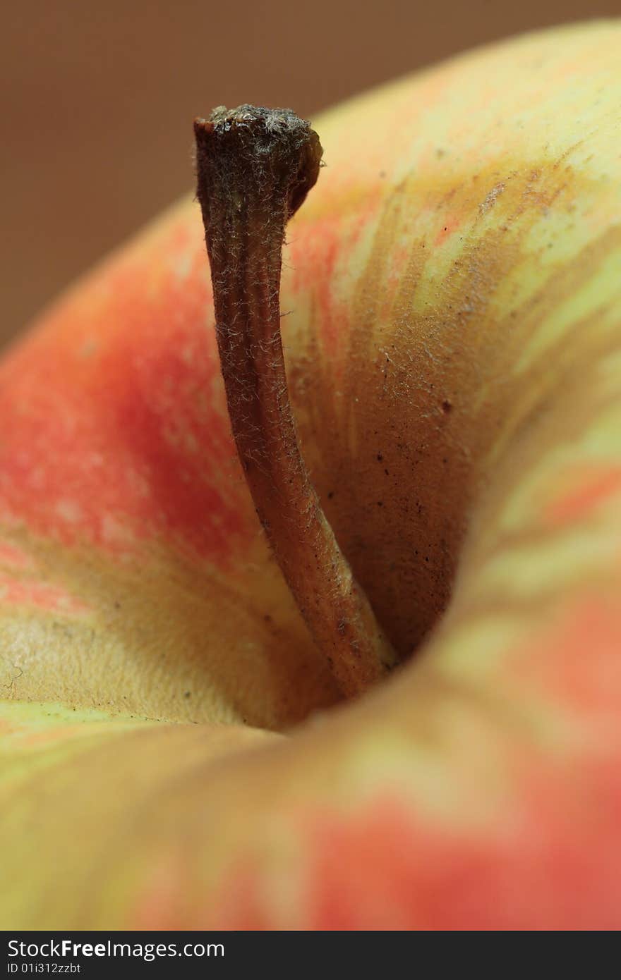 Macro of an apple