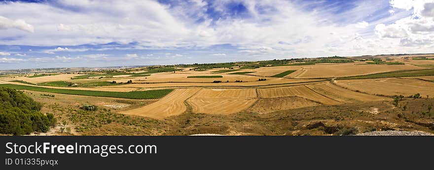 Castilla fields after harvesting 8597x2690. Castilla fields after harvesting 8597x2690