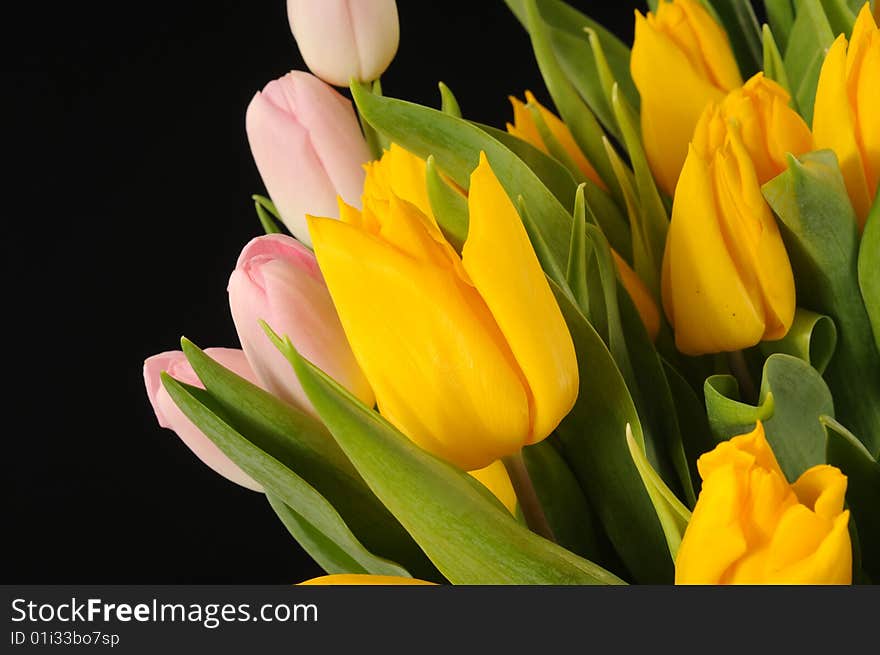 A view with a spring flowers arrangement. A view with a spring flowers arrangement