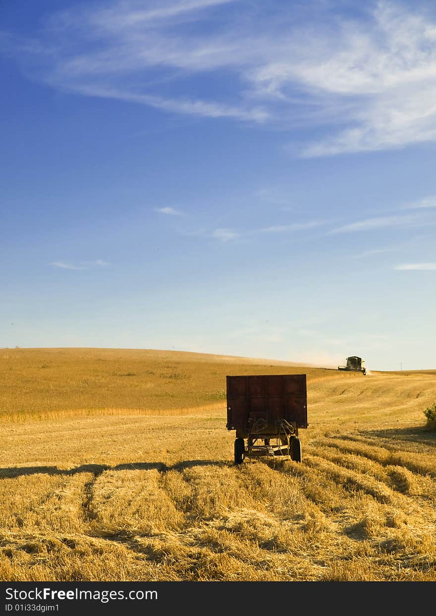 Old tractor at a wheat fiel. Old tractor at a wheat fiel