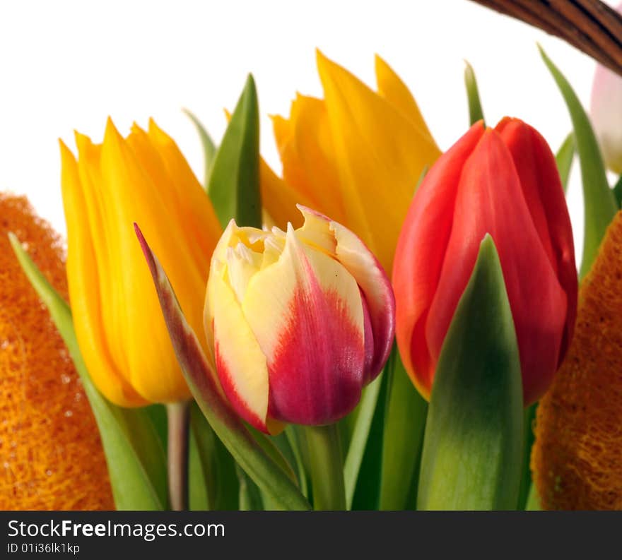 A view with a spring flowers arrangement. A view with a spring flowers arrangement