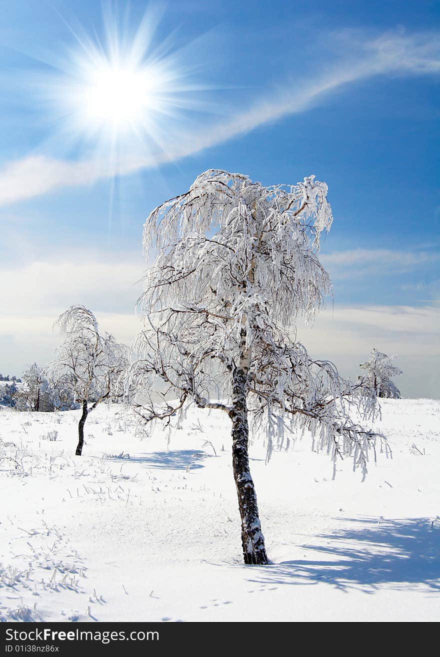 Winter tree on blue sky background with bright sun