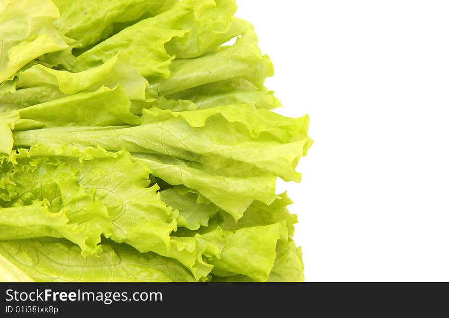 Green salad isolated on a white background