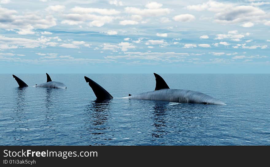 Big sharks and blue sea - digital artwork. Big sharks and blue sea - digital artwork.