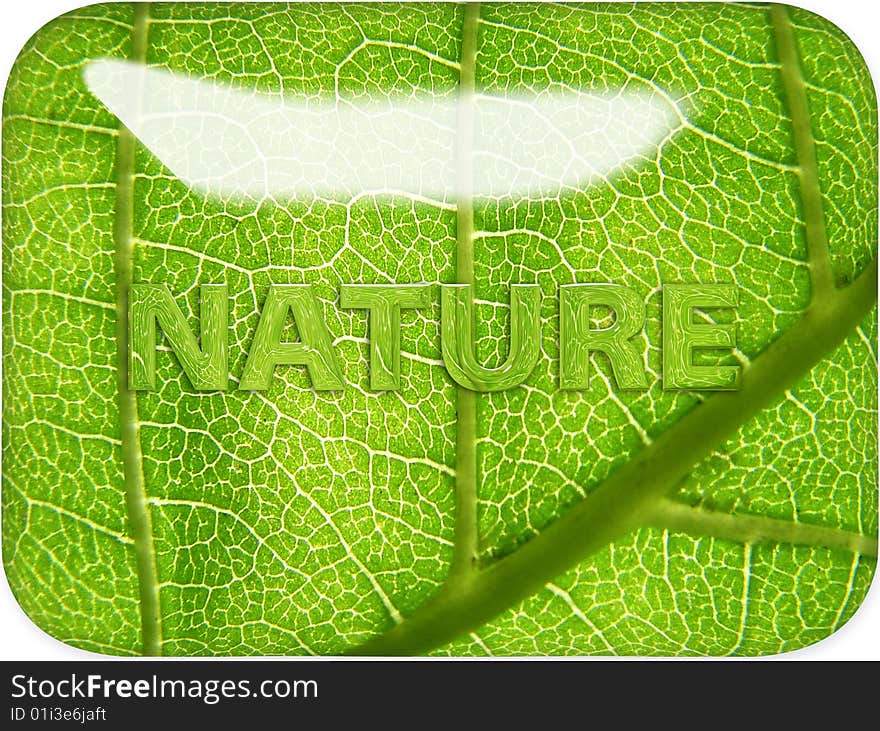 Glossy shiny leaf nature graphic with leaf image distorted through text. Glossy shiny leaf nature graphic with leaf image distorted through text