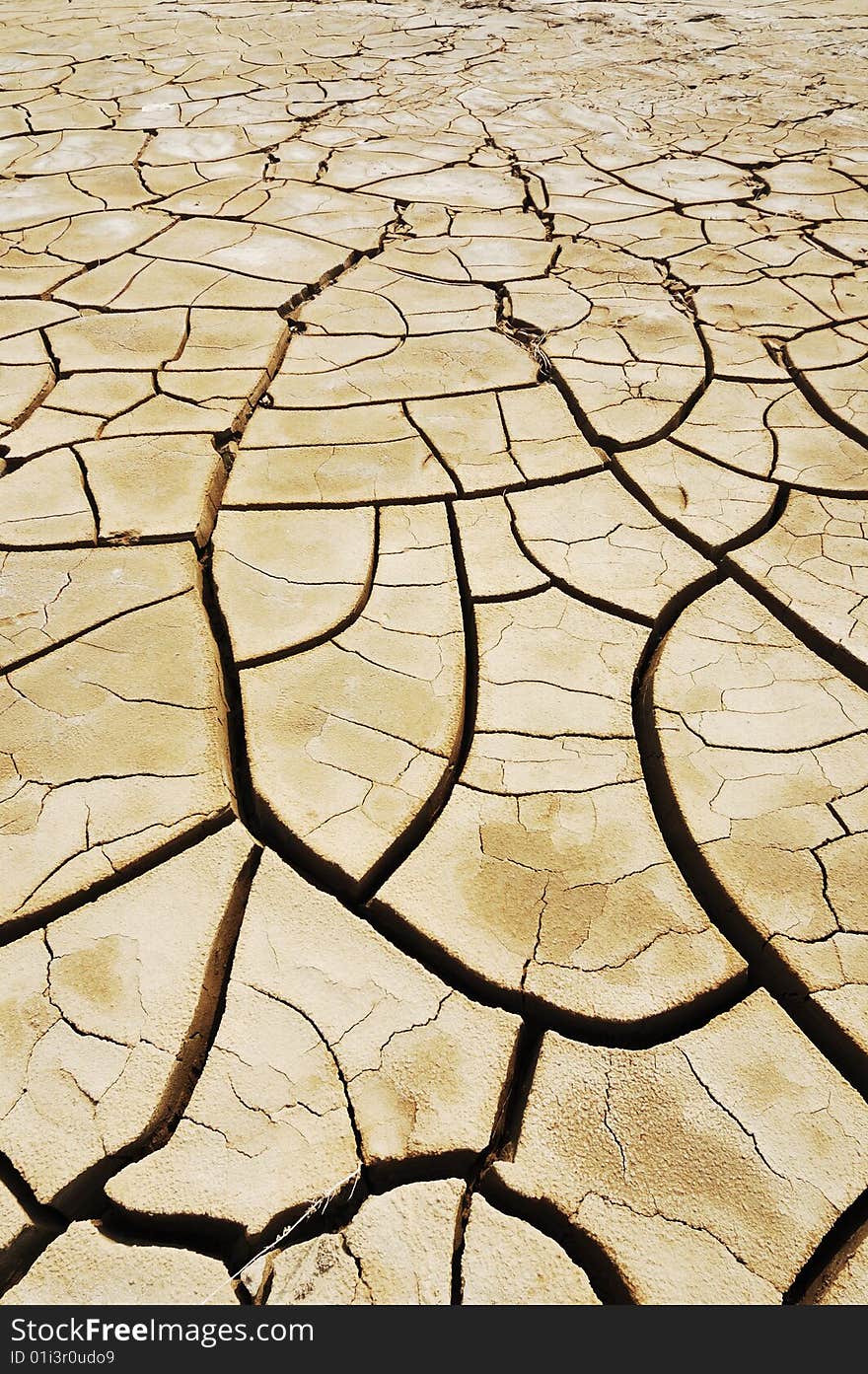 Dry soil background with cracks