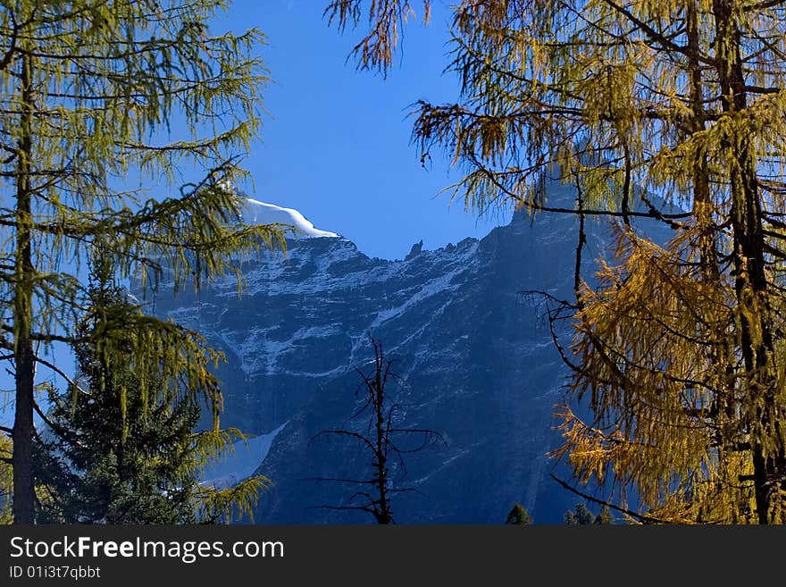 Day view of highland at Sichuan Province China