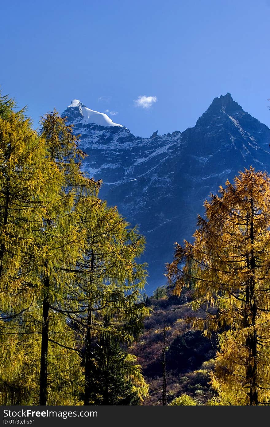 Day View Of Highland At Sichuan Province China