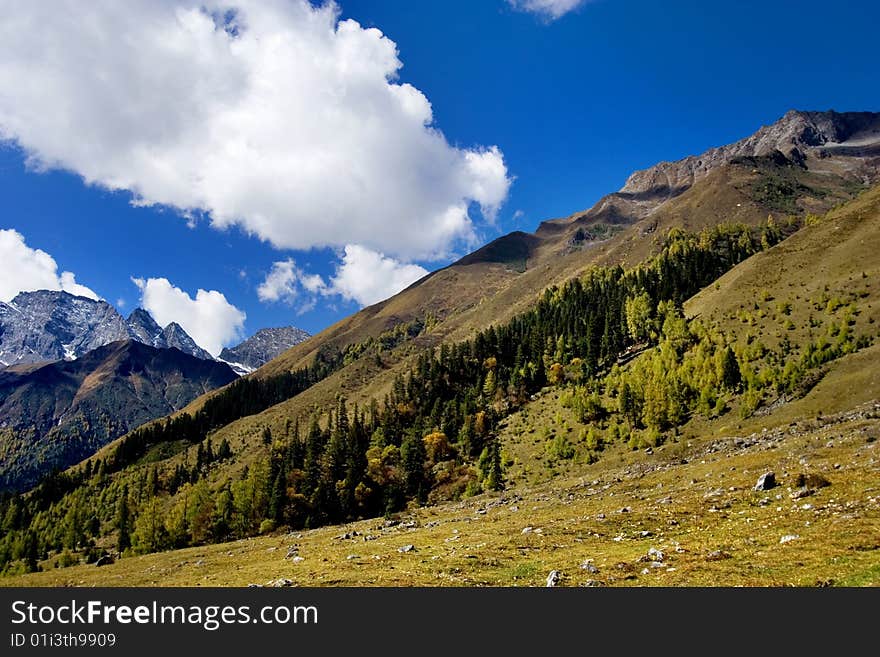 Day view of highland at Sichuan Province China