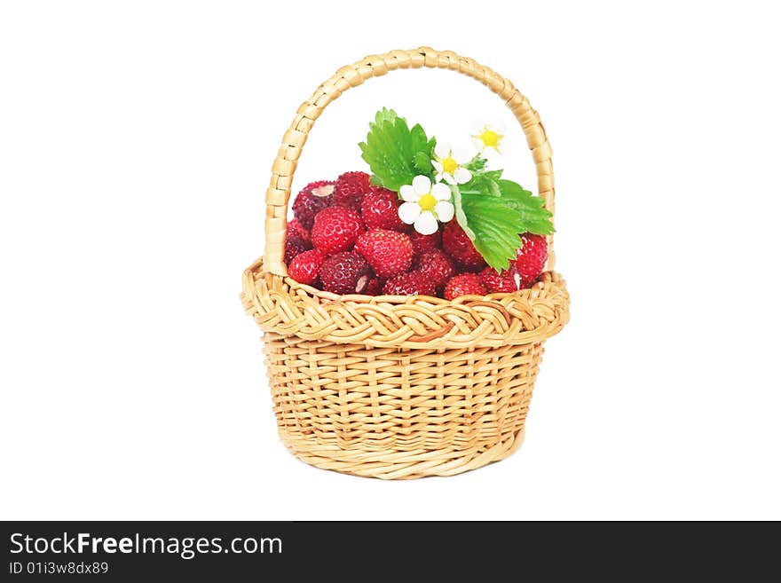 Wild strawberry in a basket.