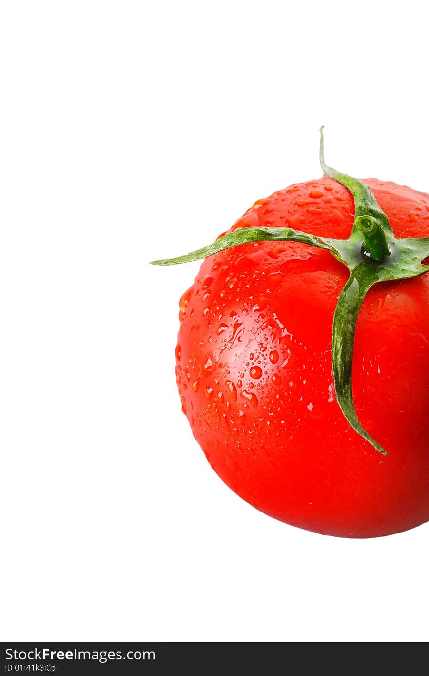 Tomato 11