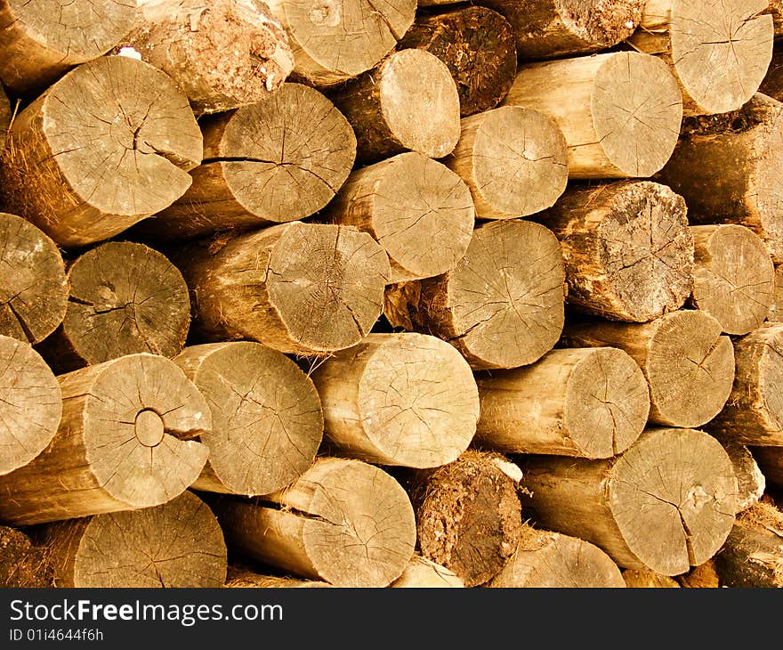 Trunks of trees in a stack