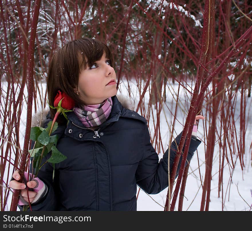 Girl in The Red Forest