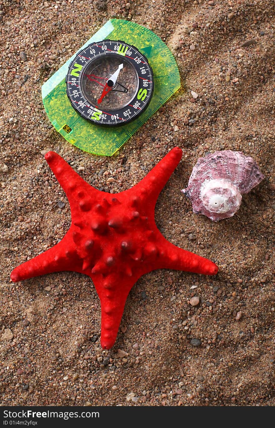 Compass, red starfish and sea shell on sand. Compass, red starfish and sea shell on sand