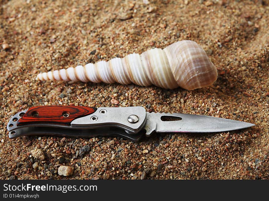 Sharp pocket knife and seashell on sand