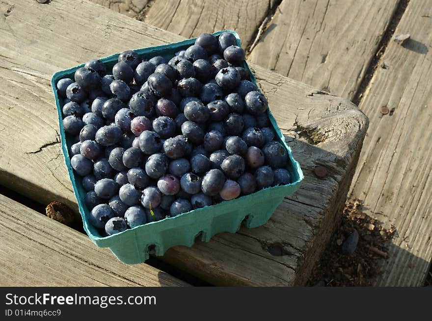 Blueberries In Pint Bucket