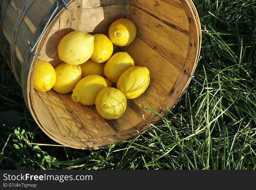 Ripe Lemons in Bushel on grass