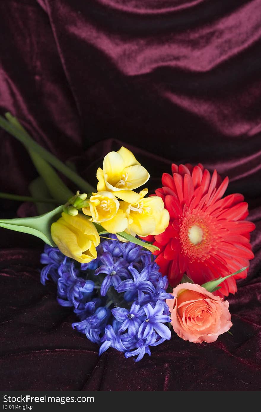 Vivid colored flowers bunch on velvet