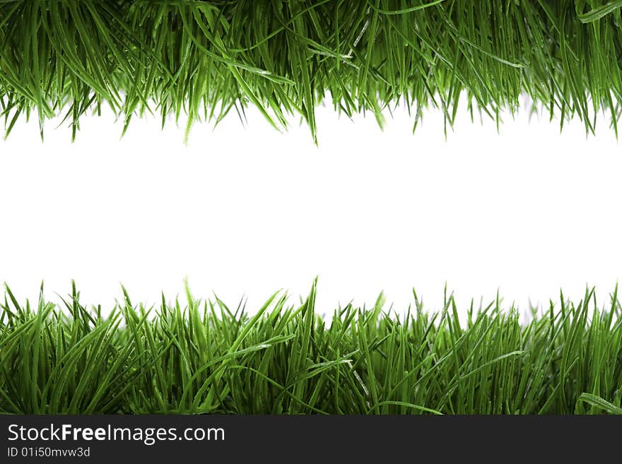 Frame Background With Green Grass