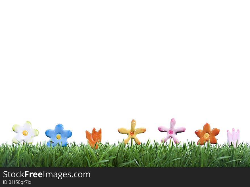 Small colorful flowers in grass isolated on white background - easter and spring concept