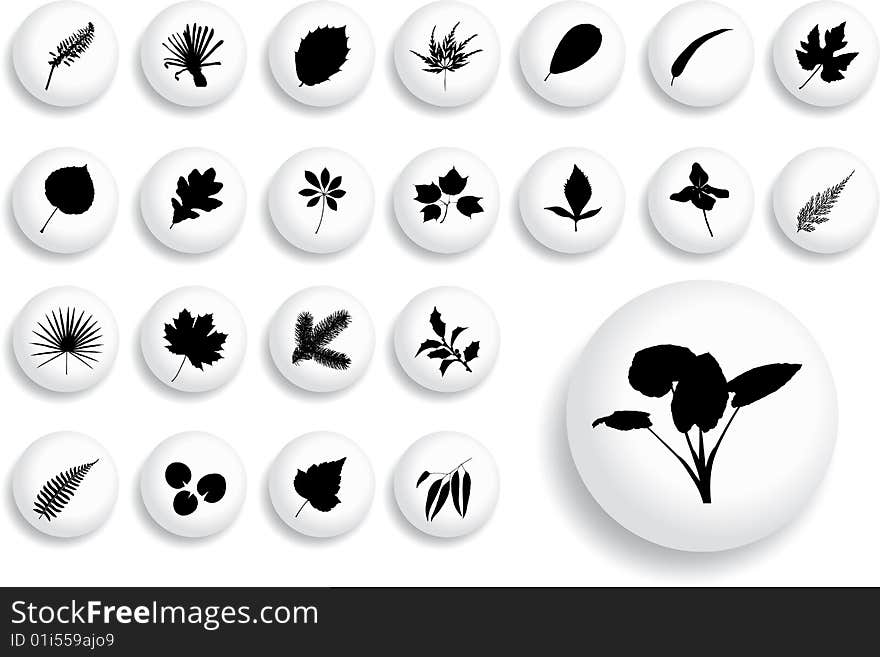 Big set buttons - 17_B. Leaves. Pictures of leaves different plants and trees for your design