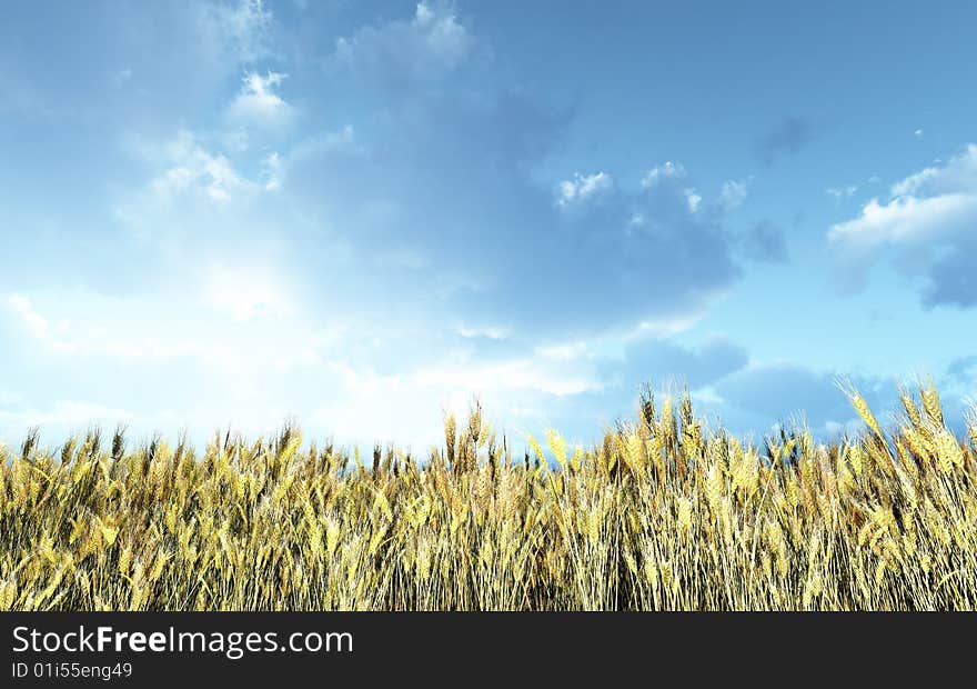 Wheat field in the sunset. 3d image