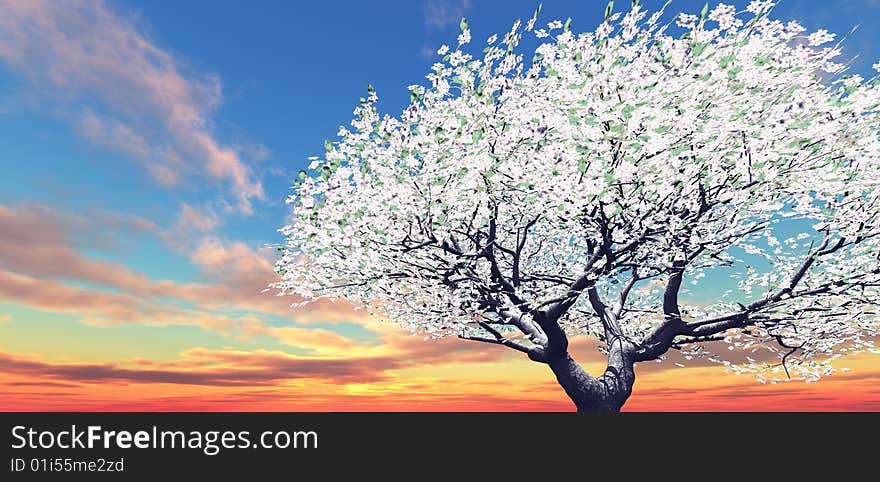 Blossoming tree in the sunset. 3d image