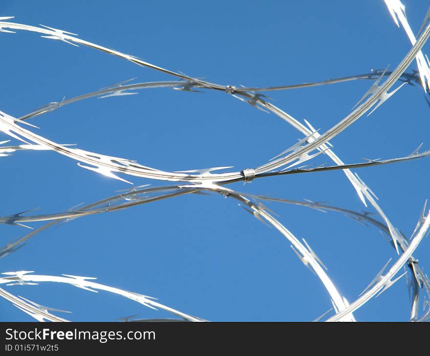 A blue sky and razorwire produced this beautiful site at a prison in Florida. A blue sky and razorwire produced this beautiful site at a prison in Florida.