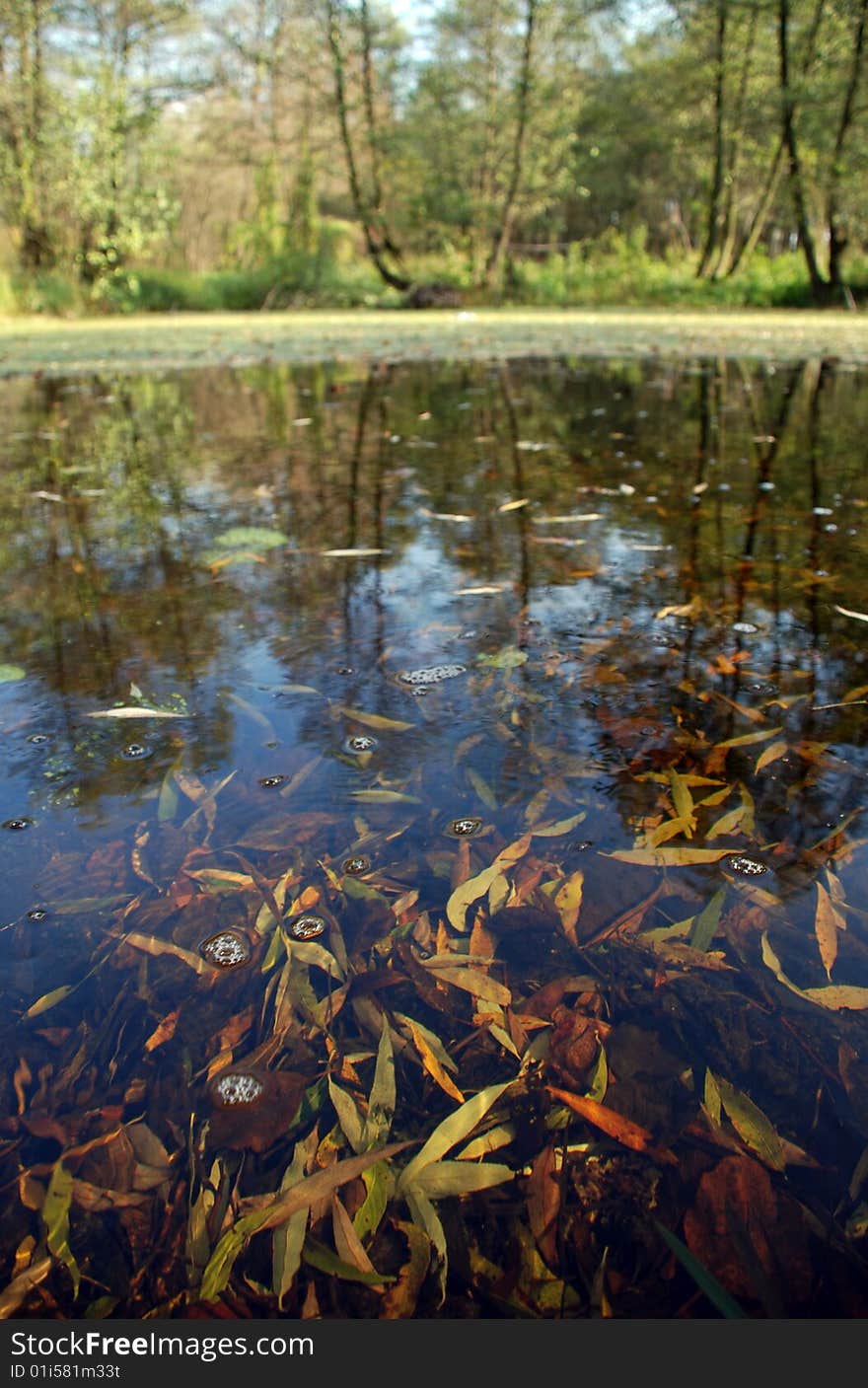 River with reflection of trees and cloudy blue sky. River with reflection of trees and cloudy blue sky