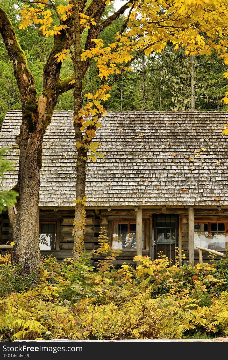 An autumn scene at a rustic log cabin. An autumn scene at a rustic log cabin