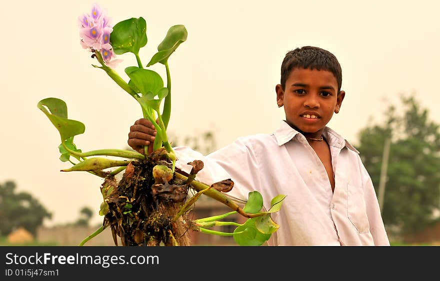 Boy with green plant in his hand. Boy with green plant in his hand.