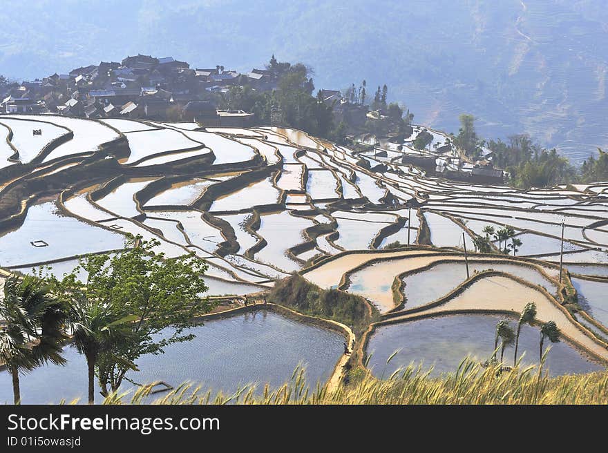 Spectacular beauty of the terraced landscape. Spectacular beauty of the terraced landscape