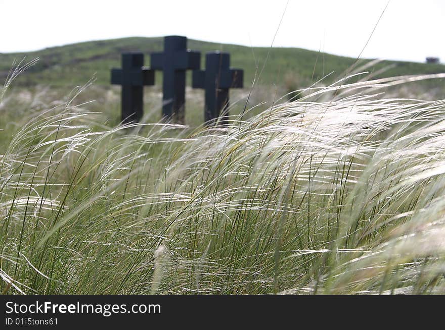 Black crosses in a green grass