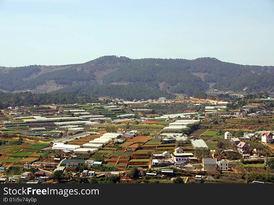 Agriculture near Dalat in Vietnam