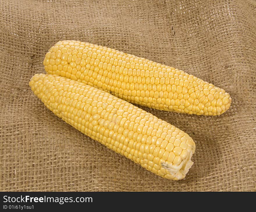 Two fresh corn-cobs over brown background