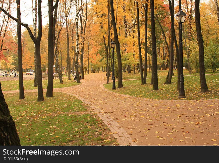 Recreation park in the Moscow