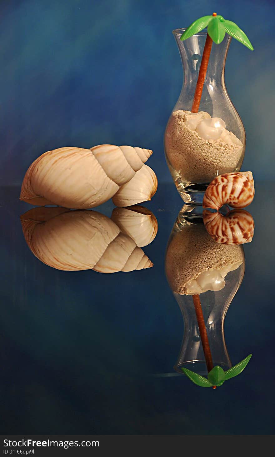 Tropic still life.Reflection of shells is in blue tones.